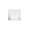 Magic Duo S Tray - BIONIC